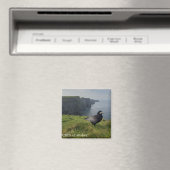 Cliffs of Moher, Ierland Souvenir Magneet (Insitu (Vaatwasser))