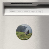 Cliffs of Moher, Ierland Souvenir Magneet (Insitu (Vaatwasser))