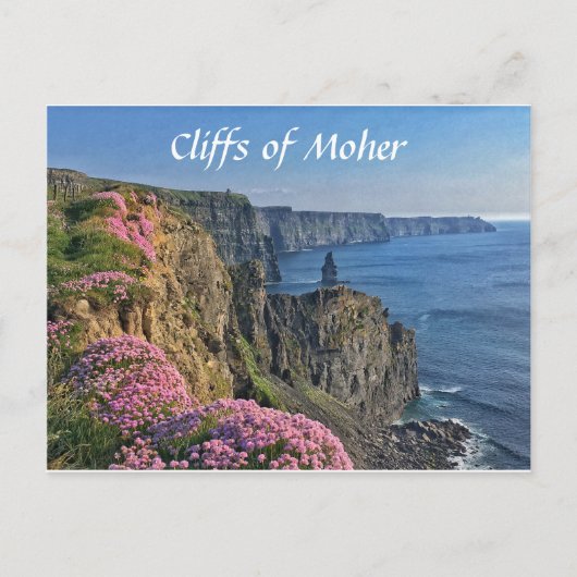 Cliffs of Moher, Ireland, Flowers Briefkaart (Voorkant)