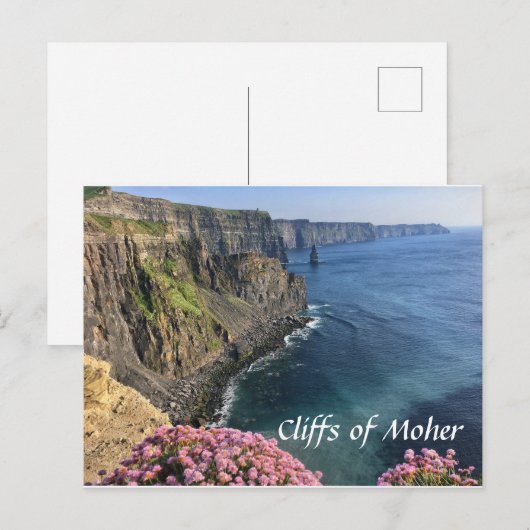 Cliffs of Moher, Ireland, Flowers, Briefkaart (Voorkant / Achterkant)