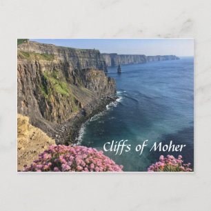 Cliffs of Moher, Ireland, Flowers, Briefkaart