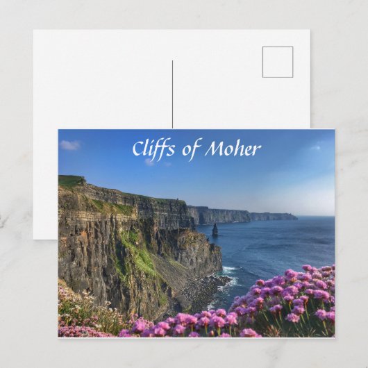 Cliffs of Moher, Ireland, Flowers Briefkaart (Voorkant / Achterkant)