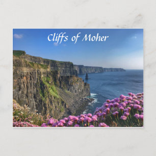Cliffs of Moher, Ireland, Flowers Briefkaart