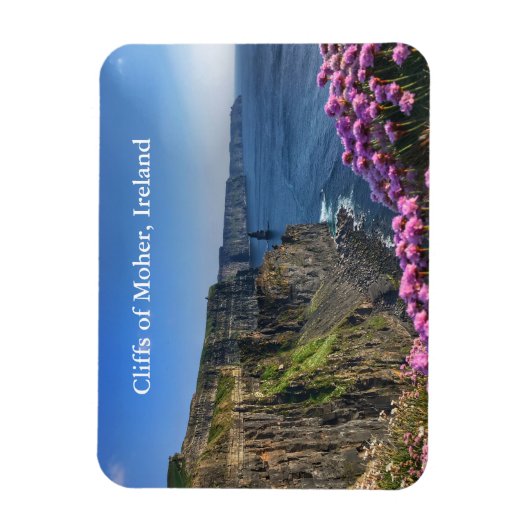 Cliffs of Moher, Ireland Magnet Magneet (Verticaal)