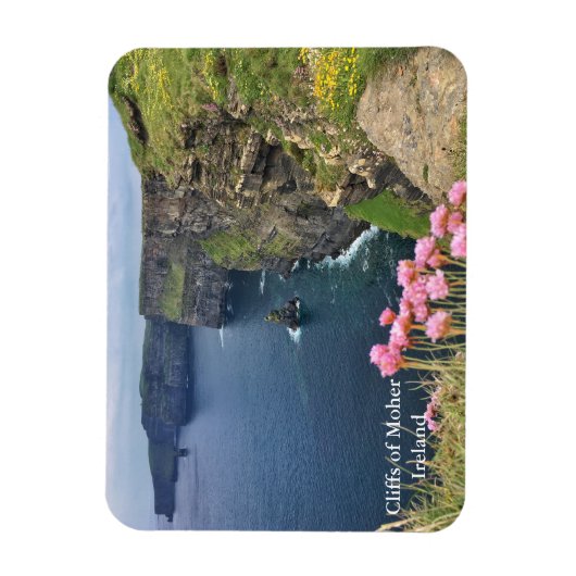 Cliffs of Moher, Ireland Magnet Magneet (Verticaal)