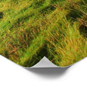 Cliffs of Moher - South Uitzicht 2 Poster (Hoek)