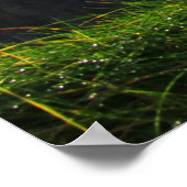 Cliffs of Moher - South Uitzicht 3 Poster (Hoek)