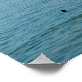 Cliffs of Pourville in France Poster (Hoek)