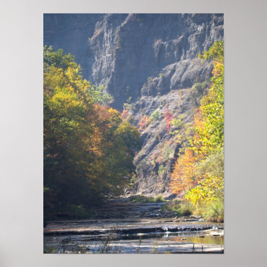 Cliffside Waterscape Poster (Voorkant)