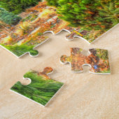 Climatron Botanical Garden Missouri. Legpuzzel (Zijkant)