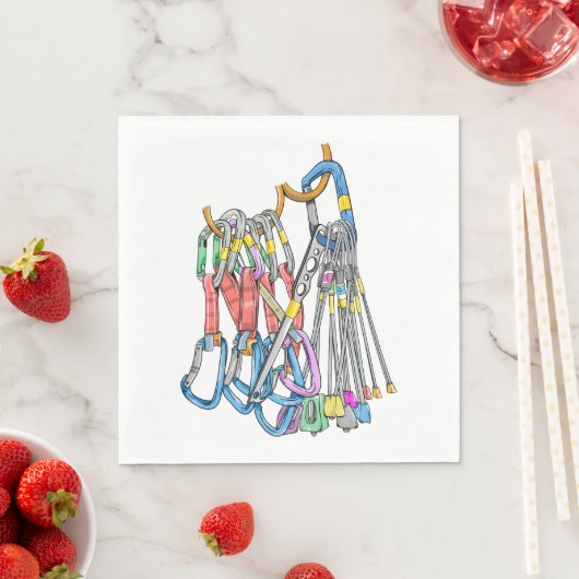 Climbing rack or quickdraws and wires servet (Insitu)