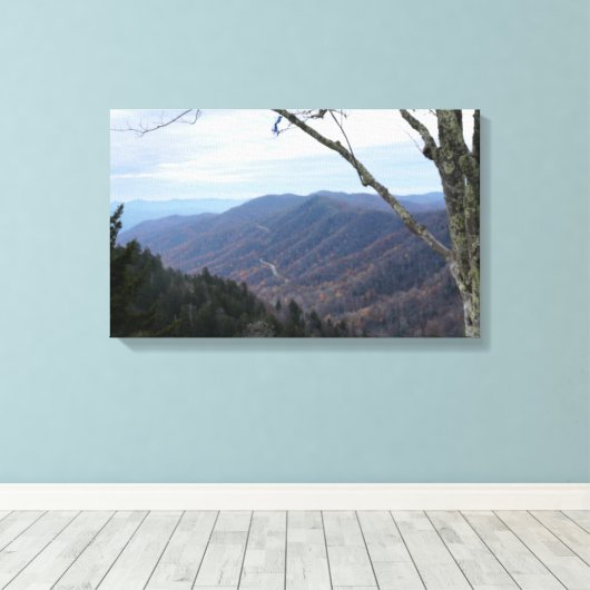 Clingmans Dome Smoky Mountains Canvas Afdruk (Insitu (Houten vloer))