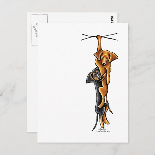 Clingy Dachshunds Briefkaart (Voorkant / Achterkant)