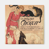 Clinique Cheron Magneet (Voorkant)