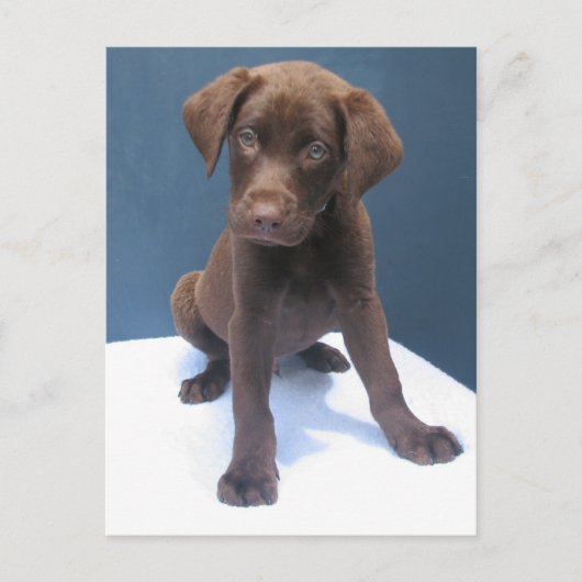 Clint Briefkaart (Voorkant)