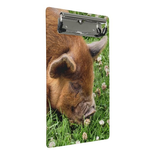 CLIPBOARD KUSTPIG MINI KLEMBORD (Schuin)