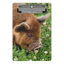 CLIPBOARD KUSTPIG MINI KLEMBORD