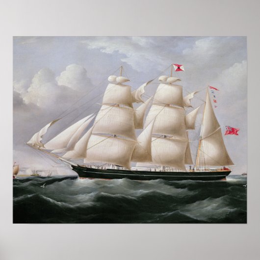 Clipper Barque 'Procymatia' van Dover (olie op kan Poster (Voorkant)