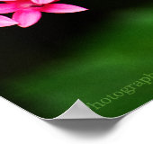 Clipper op Pentas 1 afdrukken Poster (Hoek)