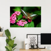 Clipper op Pentas 1 afdrukken Poster (Thuiskantoor)