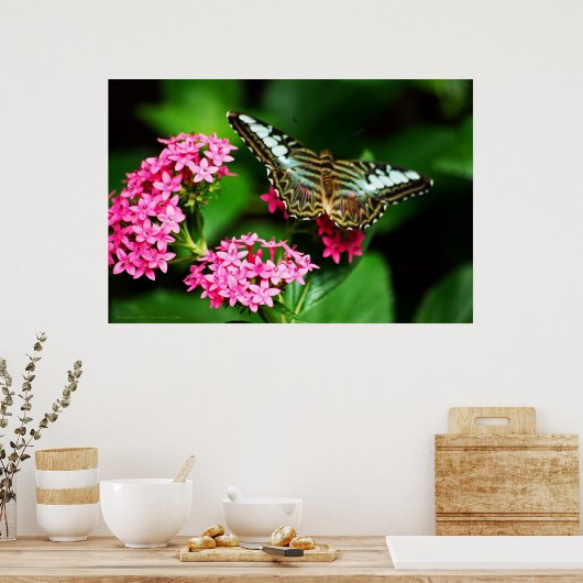 Clipper op Pentas 1 afdrukken Poster (Keuken)