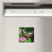 Clipper op Pentas 1 Magnet (Insitu (Vaatwasser))