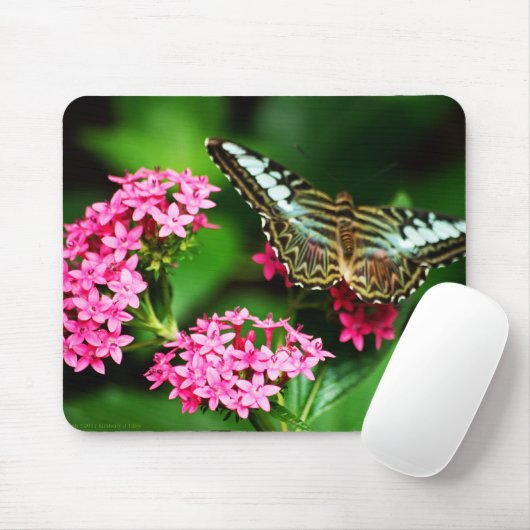 Clipper op Pentas 1 Mousepad Muismat (Met muis)