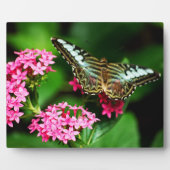 Clipper op Pentas 1 Plaque Fotoplaat (Voorkant)