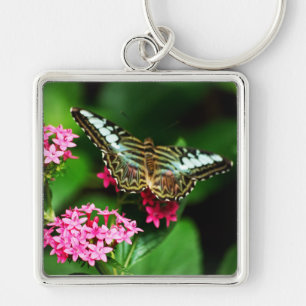 Clipper op Pentas 1 Sleutelhanger