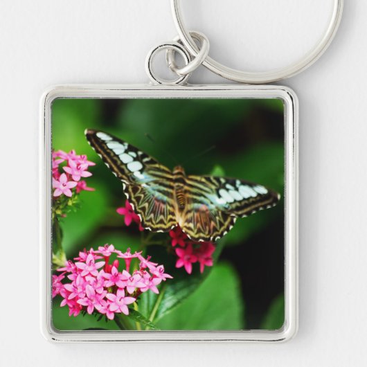 Clipper op Pentas 1 Sleutelhanger (Voorkant)