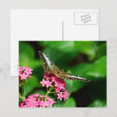 Clipper op Pentas 2 Briefkaart (Voorkant / Achterkant)