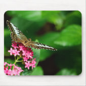 Clipper op Pentas 2 Mousepad Muismat (Voorkant)