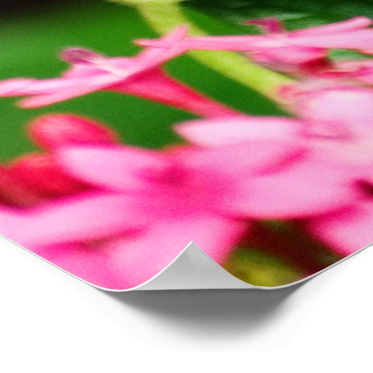 Clipper op Pentas 2 Print (Hoek)