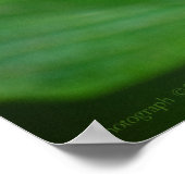 Clipper op Pentas 3 afdrukken Poster (Hoek)