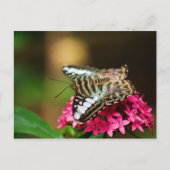 Clipper op Pentas 3 Briefkaart (Voorkant)