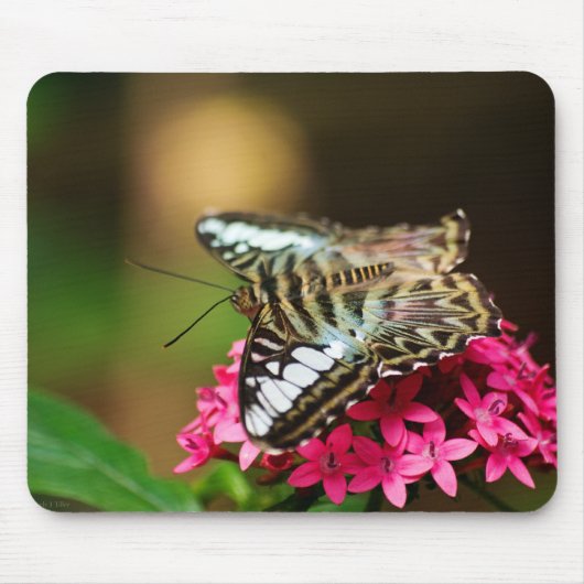 Clipper op Pentas 3 Mousepad Muismat (Voorkant)