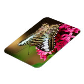 Clipper op Pentas 3 Premium Magnet Magneet (Linkerzijde)