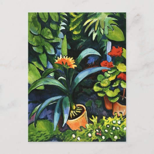 Clivia en Geraniums August Macke Briefkaart (Voorkant)