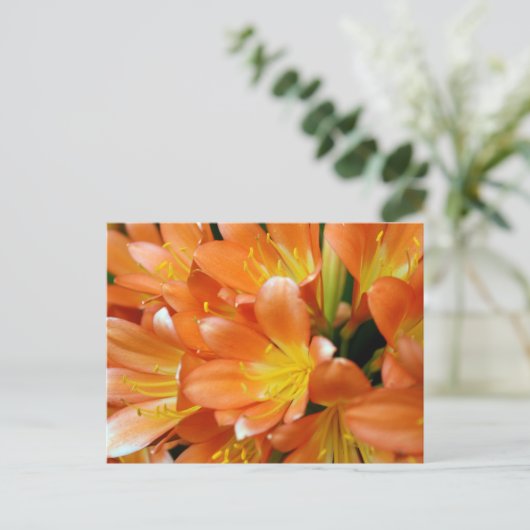 Clivia Miniata Briefkaart (Staand voorkant)
