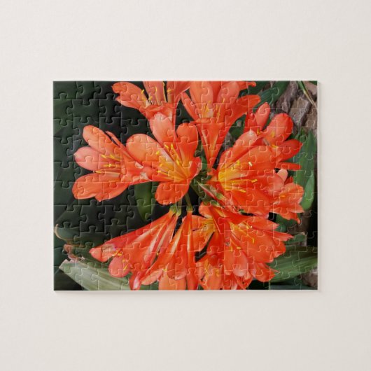 Clivia Miniata - de Oranje prachtige ventilator Legpuzzel (Horizontaal)