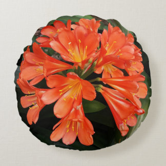 Clivia Miniata - de Oranje prachtige ventilator Rond Kussen