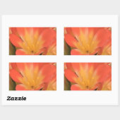 Clivias plant sticker (Vel)