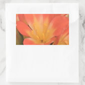 Clivias plant sticker (Tas)