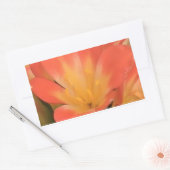 Clivias plant sticker (Envelop)