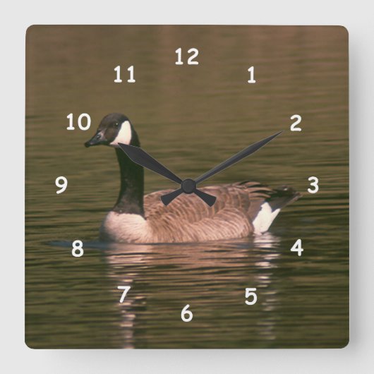 Clock - Canadian Goose Vierkante Klok (Voorkant)