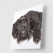 Clock Riesenschnauzer Vierkante Klok (Hoek)