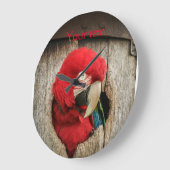 Clock with green wing macaw parrot in barrel grote klok (Hoek)