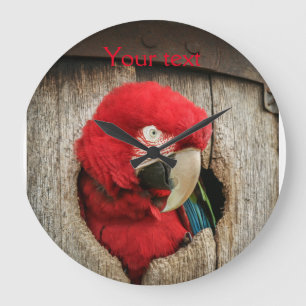 Clock with green wing macaw parrot in barrel grote klok