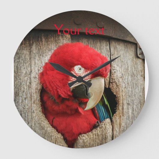 Clock with green wing macaw parrot in barrel grote klok (Voorkant)