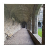 Cloister-gang met schaduwen bij Bryn Mawr Tegeltje (Voorkant)